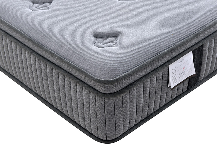 http://www.qintaosh.com.cn/upload/Product/202211/71376389863807febec541.jpg