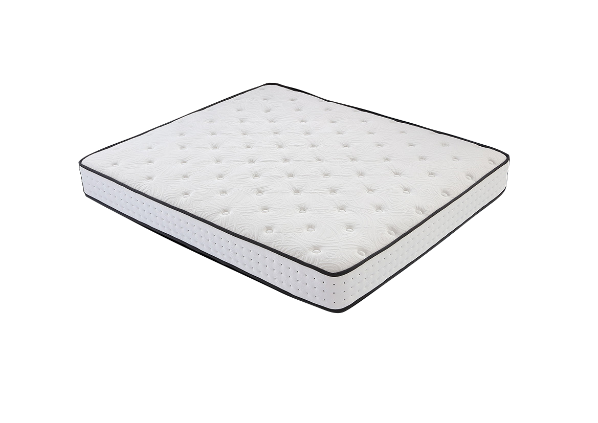 http://www.qintaosh.com.cn/upload/Product/202404/1506054442661a296f1d560.png
